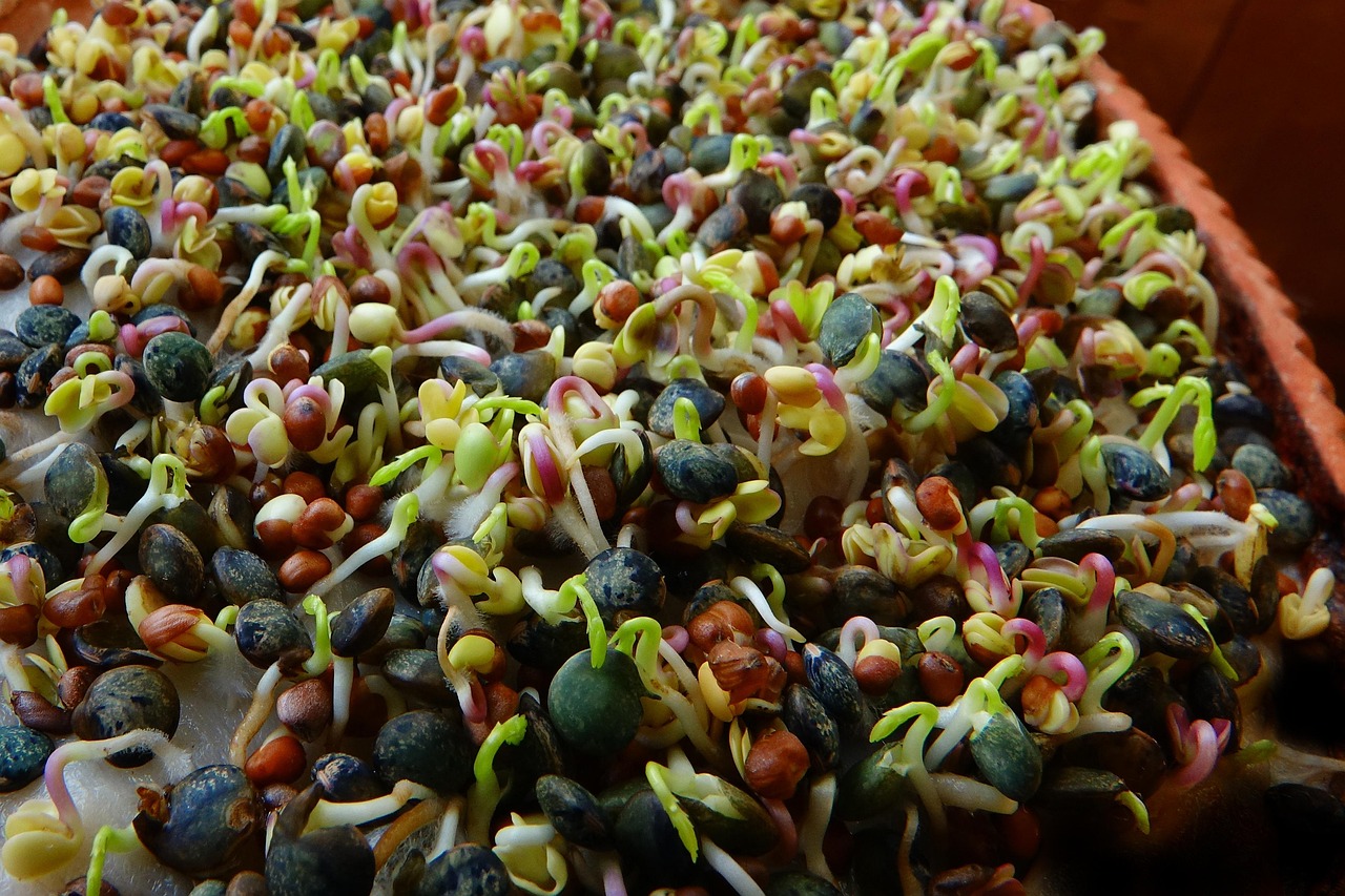 entdecken sie die wichtigsten nährstoffe für eine ausgewogene ernährung. erfahren sie, wie vitamine, mineralstoffe und andere essentielle bestandteile ihrem körper helfen, gesund und vital zu bleiben.