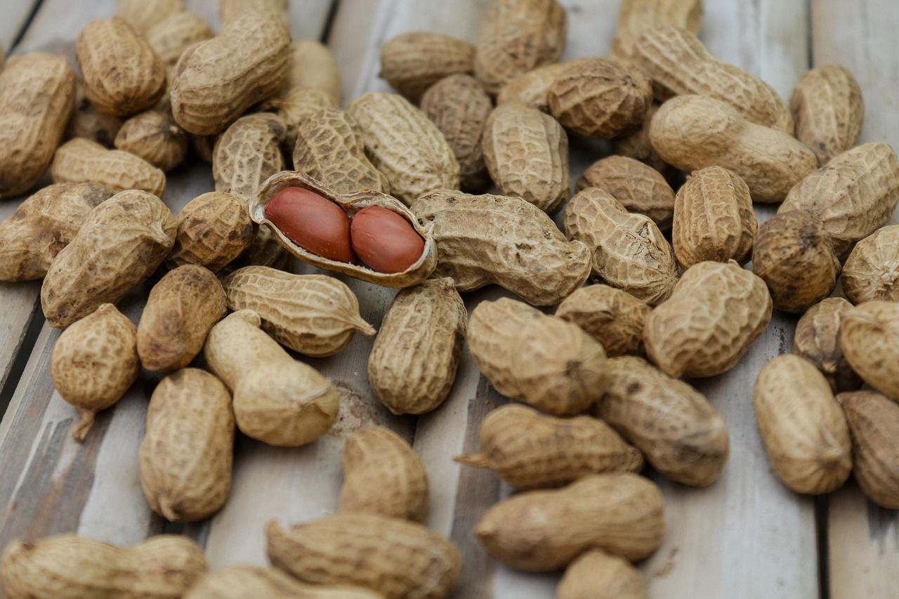 entdecken sie die besten vegetarischen proteinquellen für eine ausgewogene ernährung. erfahren sie, wie sie ihren proteinbedarf auch ohne fleisch problemlos decken können.