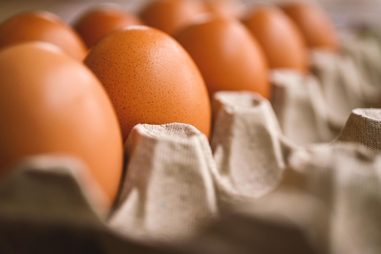 entdecken sie köstliche rezepte, tipps und tricks rund ums kochen. ob anfänger oder profi – hier finden sie inspirationen für jede küche und jeden geschmack!