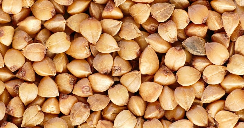 Buchweizen: Das unterschätzte Superfood mit überraschender Wirkung