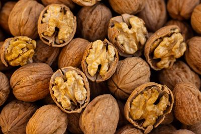 Welche vegetarischen Proteinquellen sind echte Fleischalternativen?