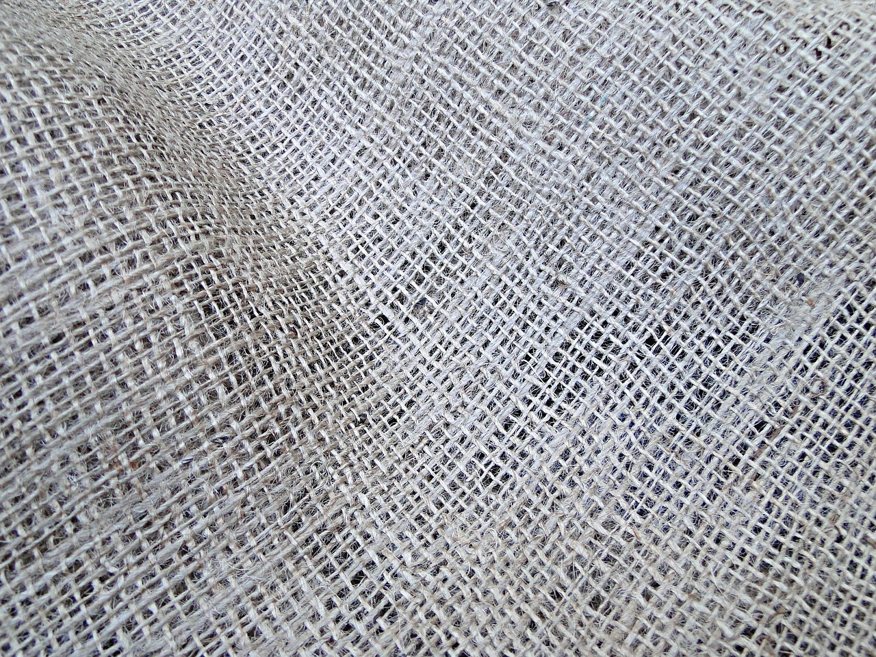 entdecken sie innovative, biologisch abbaubare elektronikl&ouml;sungen, die umweltfreundlich sind und nachhaltige technologie f&uuml;r die zukunft bieten.